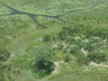 Elephants dans le delta de l'Okavango